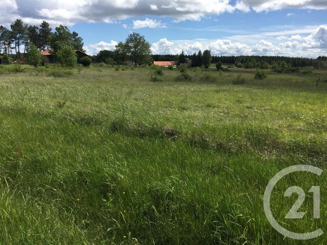 terrain à vendre - 6669.0 m2 - MONTPON MENESTEROL - 24 - AQUITAINE - Century 21 Vallée De L'Isle