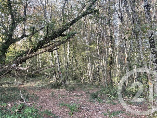 terrain à vendre - 40000.0 m2 - MONTPON MENESTEROL - 24 - AQUITAINE - Century 21 Vallée De L'Isle