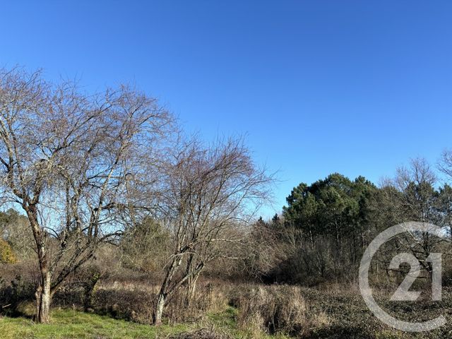 maison à vendre - 4 pièces - 97.6 m2 - MUSSIDAN - 24 - AQUITAINE - Century 21 Vallée De L'Isle