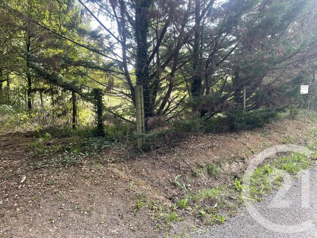 terrain à vendre - 2200.0 m2 - MONTPON MENESTEROL - 24 - AQUITAINE - Century 21 Vallée De L'Isle