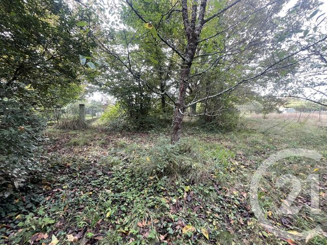 terrain à vendre - 2491.0 m2 - MONTPON MENESTEROL - 24 - AQUITAINE - Century 21 Vallée De L'Isle