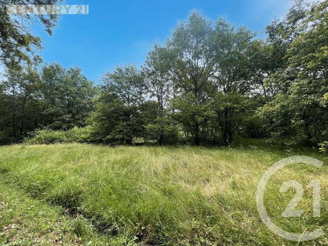 terrain à vendre - 5452.0 m2 - MONTPON MENESTEROL - 24 - AQUITAINE - Century 21 Vallée De L'Isle