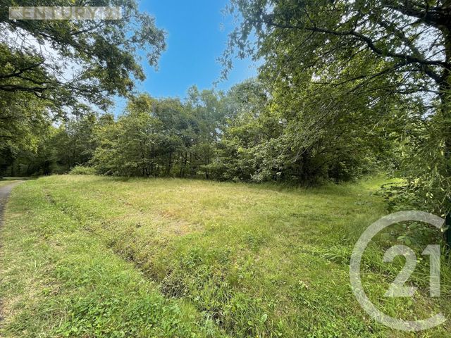 terrain à vendre - 5452.0 m2 - MONTPON MENESTEROL - 24 - AQUITAINE - Century 21 Vallée De L'Isle