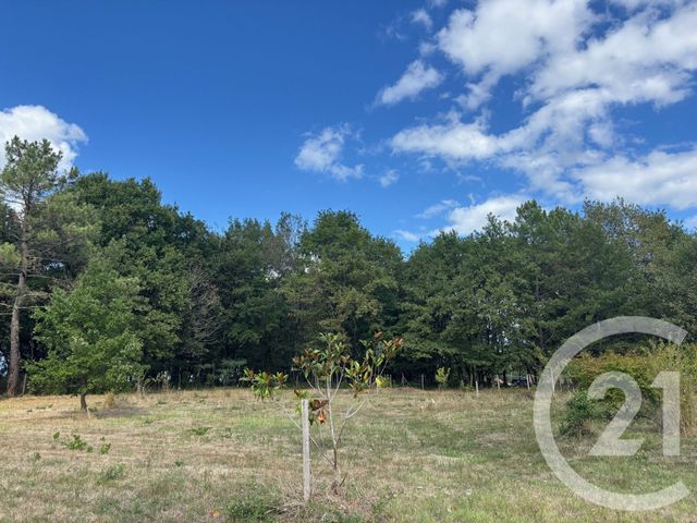 terrain à vendre - 3400.0 m2 - MONTPON MENESTEROL - 24 - AQUITAINE - Century 21 Vallée De L'Isle