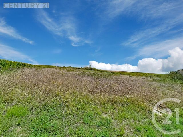 Afficher la photo en grand terrain à vendre - 1716.0 m2 - MONTAZEAU - 24 - AQUITAINE - Century 21 Vallée De L'Isle