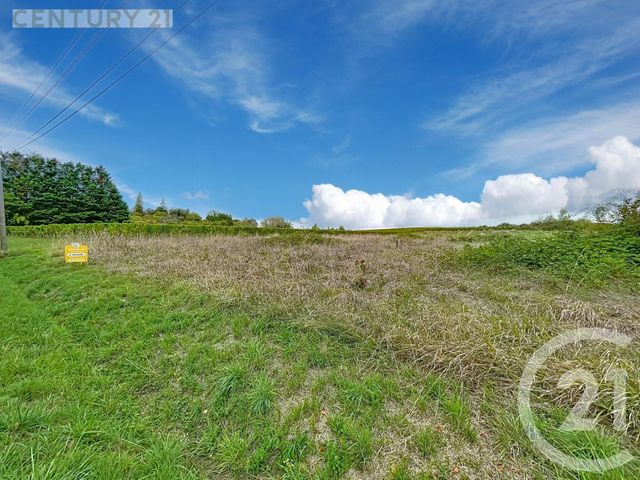 terrain - MONTAZEAU - 24