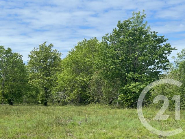 terrain à vendre - 5174.0 m2 - MONTPON MENESTEROL - 24 - AQUITAINE - Century 21 Vallée De L'Isle