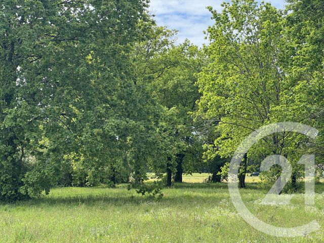 terrain à vendre - 3447.0 m2 - MONTPON MENESTEROL - 24 - AQUITAINE - Century 21 Vallée De L'Isle