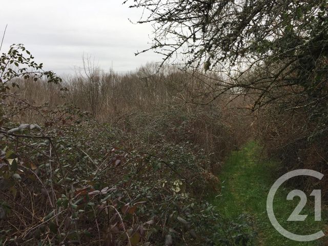 terrain à vendre - 40623.0 m2 - MONTPON MENESTEROL - 24 - AQUITAINE - Century 21 Vallée De L'Isle