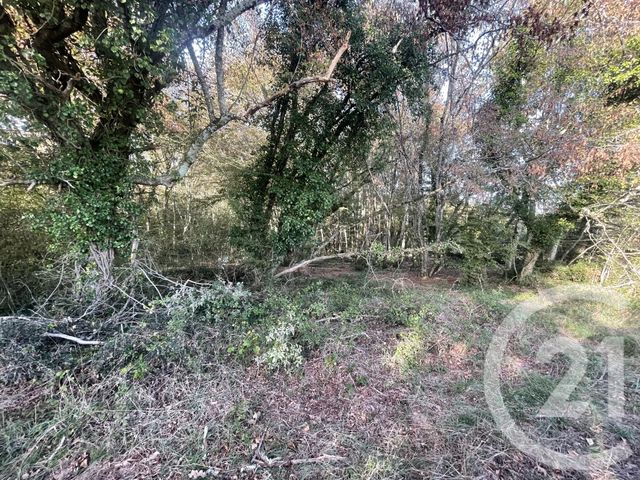 Terrain à vendre MONTPON MENESTEROL