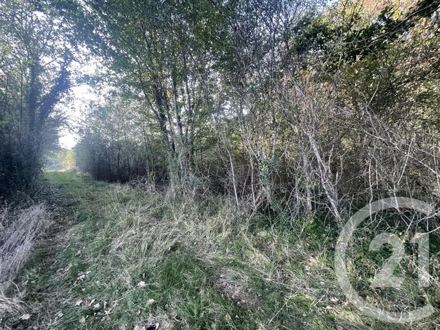 terrain à vendre - 40623.0 m2 - MONTPON MENESTEROL - 24 - AQUITAINE - Century 21 Vallée De L'Isle