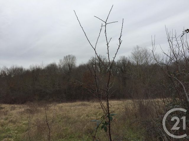 terrain à vendre - 40623.0 m2 - MONTPON MENESTEROL - 24 - AQUITAINE - Century 21 Vallée De L'Isle