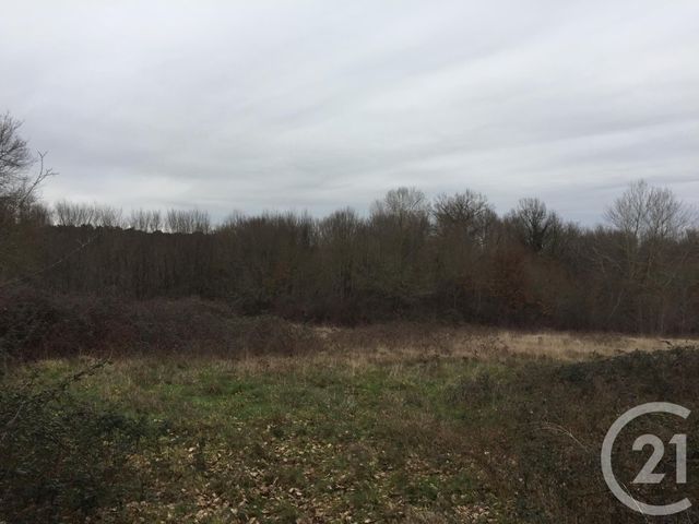 terrain à vendre - 40623.0 m2 - MONTPON MENESTEROL - 24 - AQUITAINE - Century 21 Vallée De L'Isle