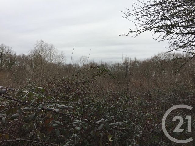 terrain à vendre - 40623.0 m2 - MONTPON MENESTEROL - 24 - AQUITAINE - Century 21 Vallée De L'Isle