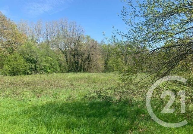 Terrain à vendre MUSSIDAN