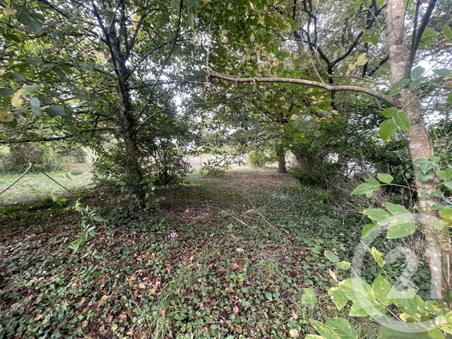 terrain à vendre - 2491.0 m2 - MONTPON MENESTEROL - 24 - AQUITAINE - Century 21 Vallée De L'Isle