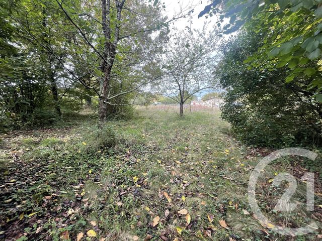 terrain à vendre - 2491.0 m2 - MONTPON MENESTEROL - 24 - AQUITAINE - Century 21 Vallée De L'Isle
