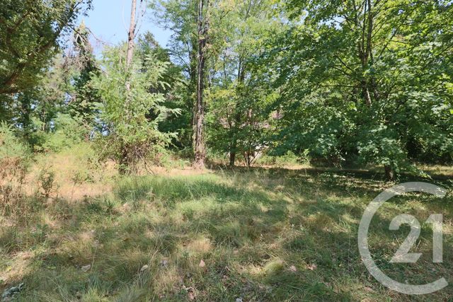 maison à vendre - 9 pièces - 353.0 m2 - MONTPON MENESTEROL - 24 - AQUITAINE - Century 21 Vallée De L'Isle
