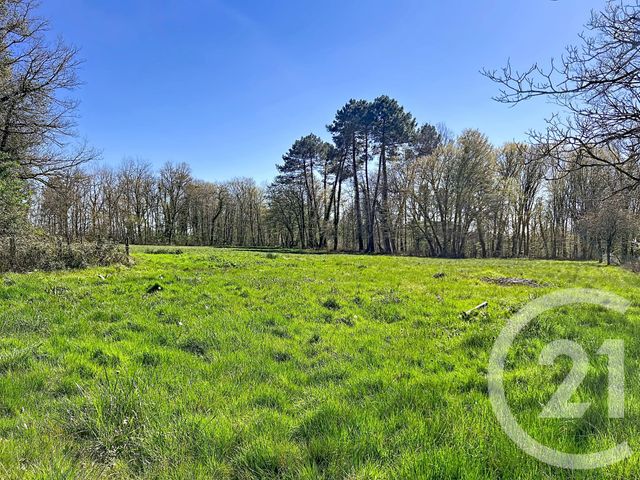 maison à vendre - 5 pièces - 130.0 m2 - MONTPON MENESTEROL - 24 - AQUITAINE - Century 21 Vallée De L'Isle