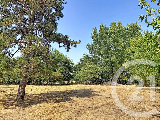 maison à vendre - 3 pièces - 102.4 m2 - LE PIZOU - 24 - AQUITAINE - Century 21 Vallée De L'Isle