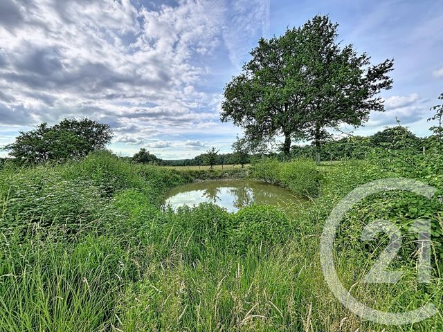 maison à vendre - 4 pièces - 102.44 m2 - MUSSIDAN - 24 - AQUITAINE - Century 21 Vallée De L'Isle