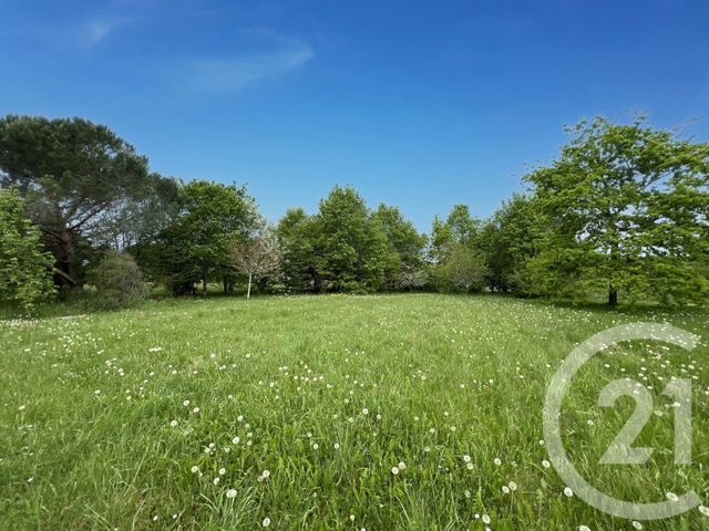 maison à vendre - 8 pièces - 326.0 m2 - MONTPON MENESTEROL - 24 - AQUITAINE - Century 21 Vallée De L'Isle