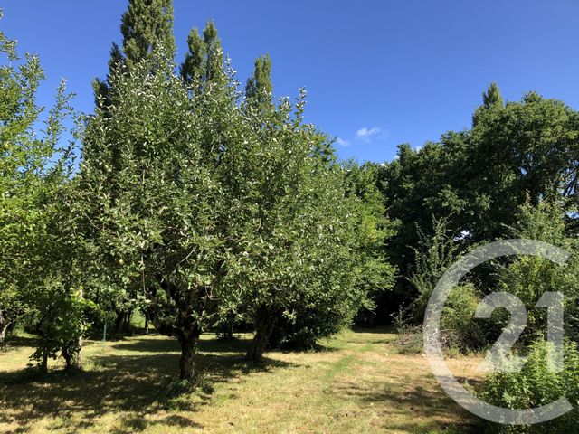 maison à vendre - 6 pièces - 190.0 m2 - MONTPON MENESTEROL - 24 - AQUITAINE - Century 21 Vallée De L'Isle