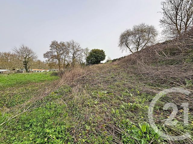 terrain à vendre - 2500.0 m2 - MONTPON MENESTEROL - 24 - AQUITAINE - Century 21 Vallée De L'Isle
